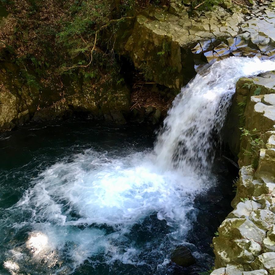 Ogawa Ryokan Shimoda  Esterno foto